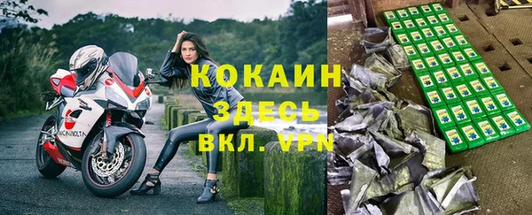ешки Аркадак