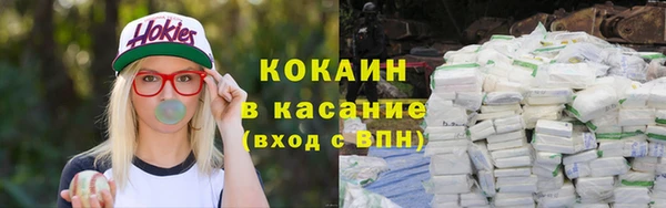 ешки Аркадак